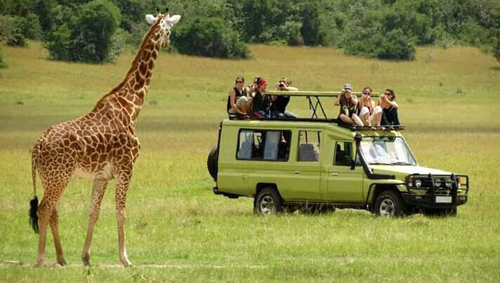 safari etiquette and safety